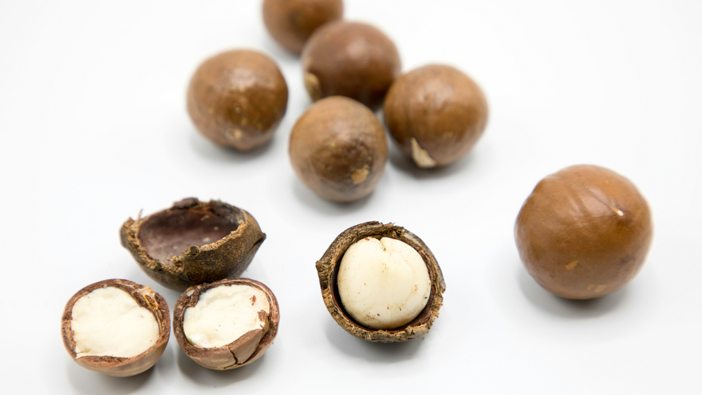 What is Macadamia? How Can This Dry Fruit Enhance Your Skin?