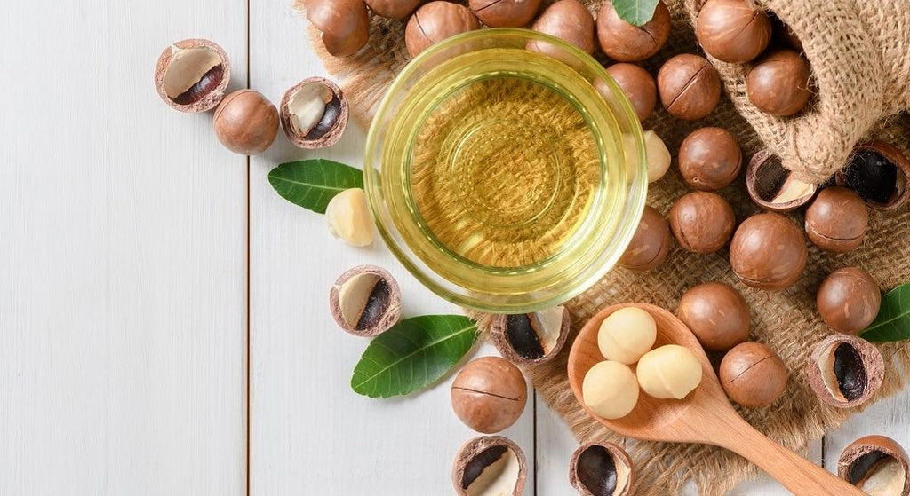 The Miracle Oil from the Amazonian Wilderness: What are the benefits of Macadamia Oil? - Buds&Berries